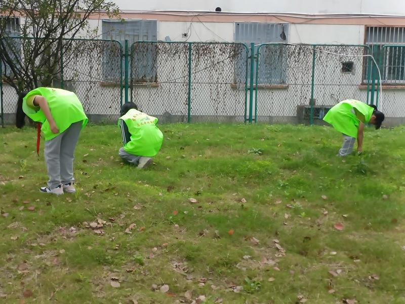 IMG20241014135355.jpg IMG20241014135355.jpg