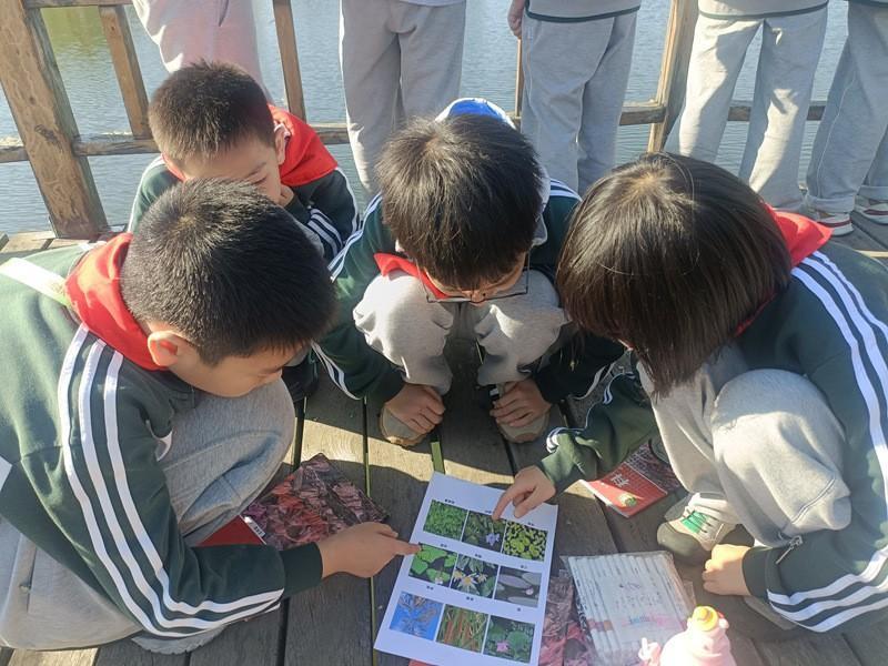 4cb5cf474546931c.jpg.cthumb.jpg 4cb5cf474546931c.jpg.cthumb.jpg